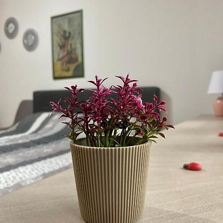 Cozy Apartment Ladybug, Sarajevo Ngoại thất bức ảnh