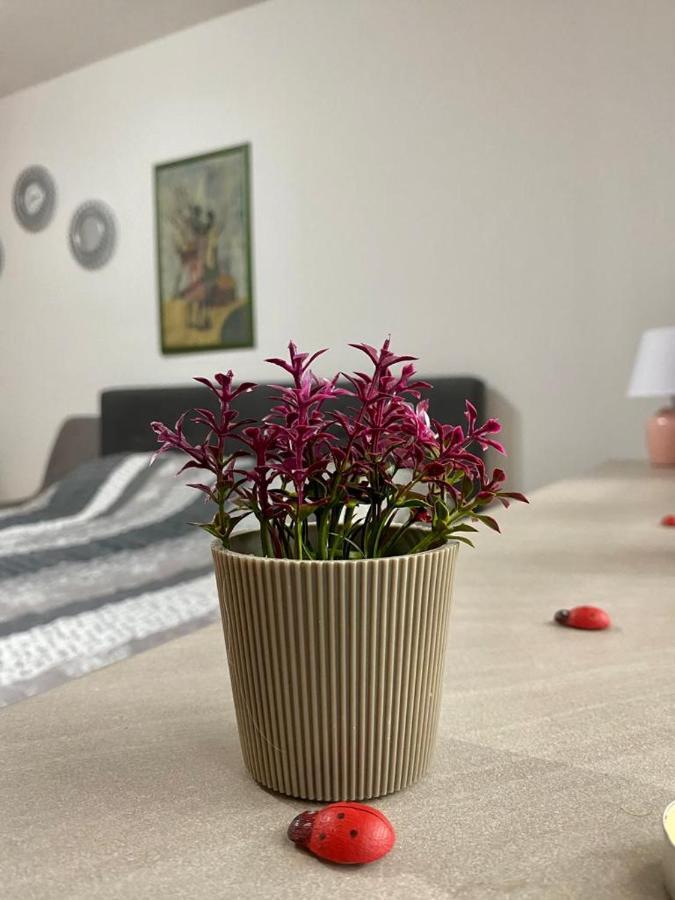 Cozy Apartment Ladybug, Sarajevo Ngoại thất bức ảnh